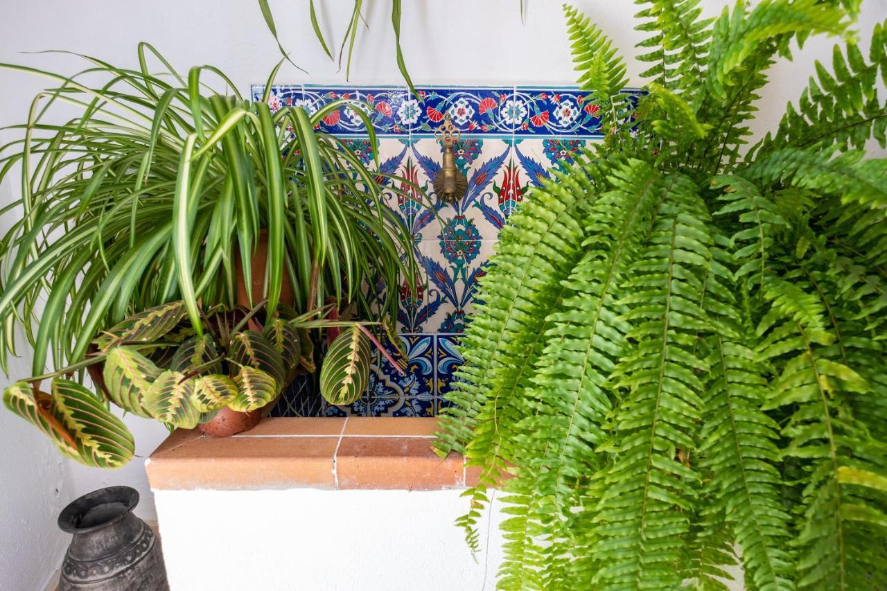La Casa Del Agua Villa Vejer de la Frontera Eksteriør billede